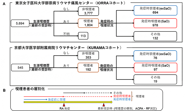 本研究におけるRA患者の喫煙歴による分類方法の図