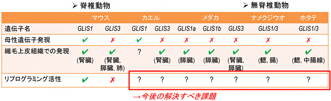 これまでの研究成果と今後の課題の図