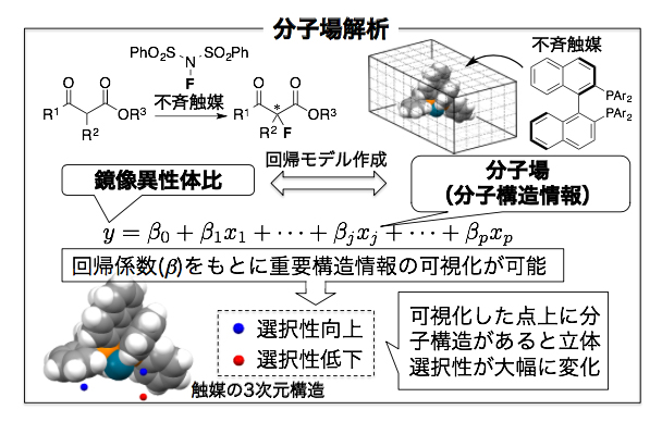 不斉触媒反応における分子場解析の図