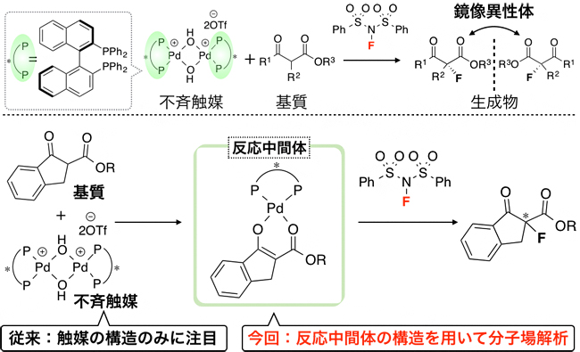 今回解析した不斉触媒反応の反応機構の図