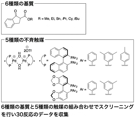 解析に用いたデータセットの図