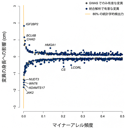 同定した遺伝的変異のアレル頻度とその身長への影響の図