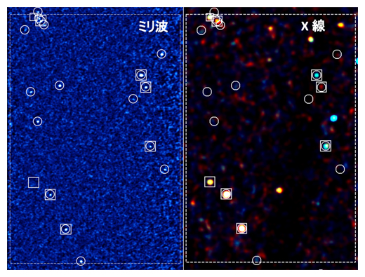 ミリ波とX線で見た観測領域の画像の図