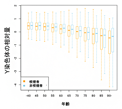 Y染色体の相対量（mLOYシグナル）と年齢・喫煙の関係の図