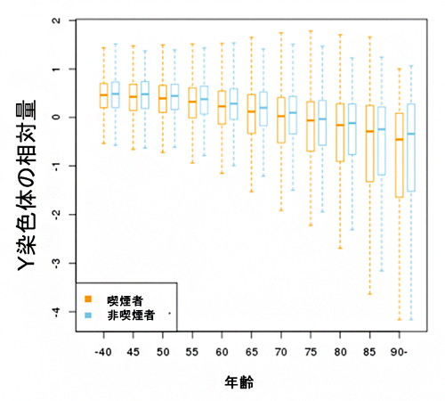 Y染色体の相対量(mLOYシグナル)と年齢・喫煙の関係の図