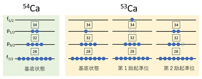 54Caの構造と54Caから中性子を一つ抜いて作られる53Caの三つの状態の図