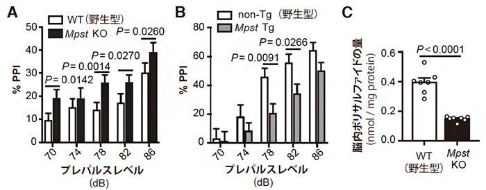 Mpst遺伝子改変マウスでのプレパルス抑制（PPI）および脳内ポリサルファイドの量の図
