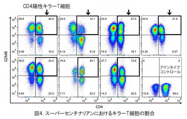 7人のスーパーセンチナリアンにおけるキラーT細胞の割合の図