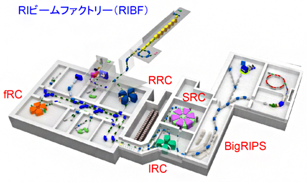 RIビームファクトリー（RIBF）の配の画像