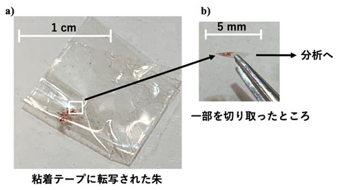 粘着テープによる朱の採取例の図