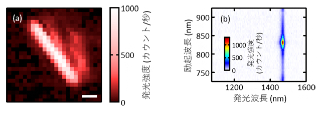 単一のカーボンナノチューブに対する光学測定の図