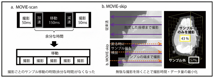 MOVIE-scan、MOVIE-skipにより高速化・効率化した撮影法の図