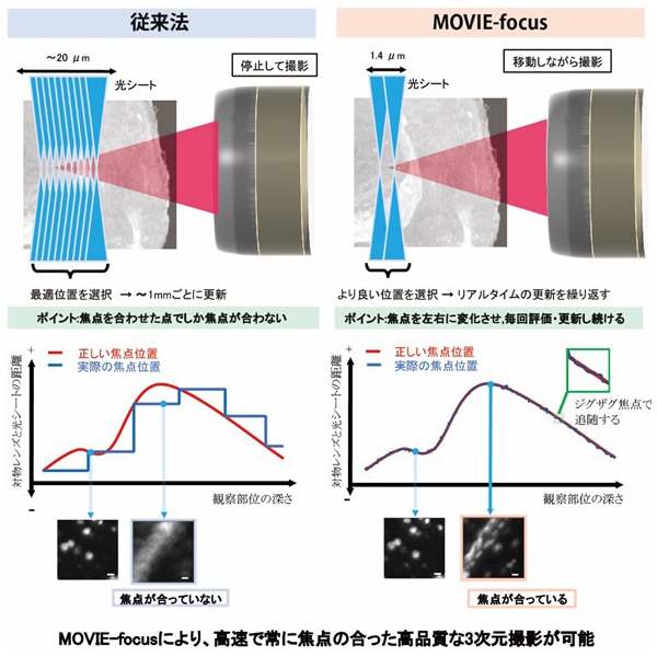 リアルタイムで焦点を更新するMOVIE-focusによる撮影法の図