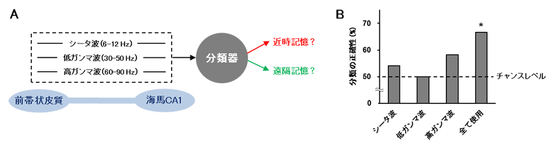 機械学習による近時記憶と遠隔記憶の分類の図