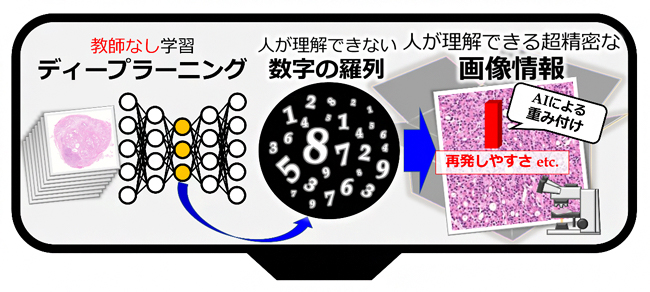 手法の基本原理の図