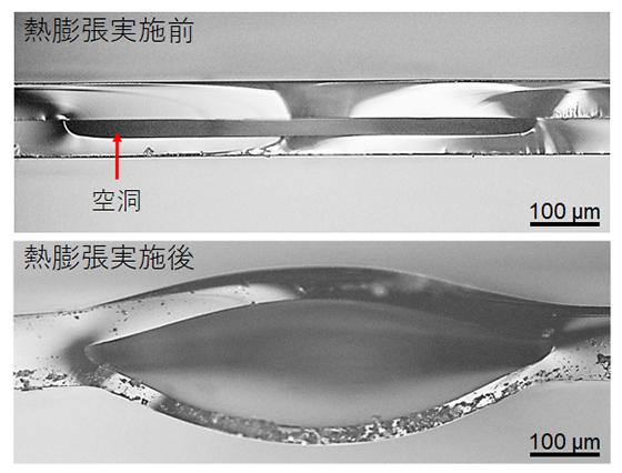 本研究で開発した熱膨張手法の実施前と実施後のガラス微細ドーム構造の断面図の画像