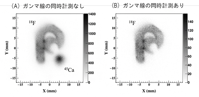 MI-IPによる2核種（18Fと45Ca）のイメージングの図