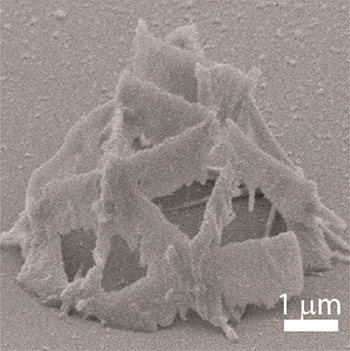 BSA分子を純水で溶解した前駆体を用いてフェムト秒レーザー3Dプリンティングにより造形した3次元マイクロ構造の図