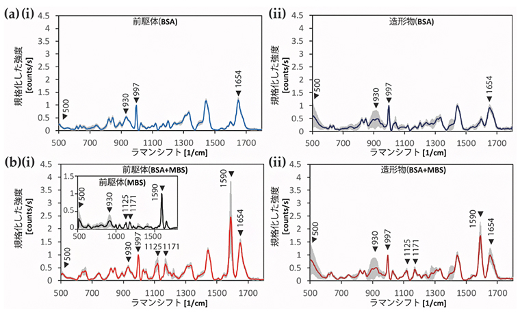 前駆体および構造体（造形物）のラマン分光測定結果の図