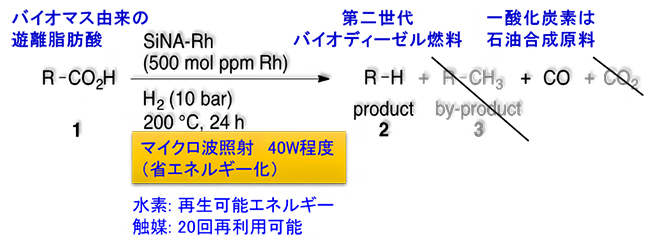 新たに開発した触媒（SiNA-Rh）を用いた第二世代バイオディーゼル燃料の合成の図