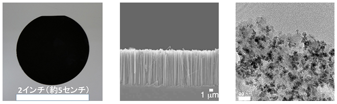 シリコンナノ構造体担持ロジウムナノ粒子触媒(SiNA-Rh)の画像