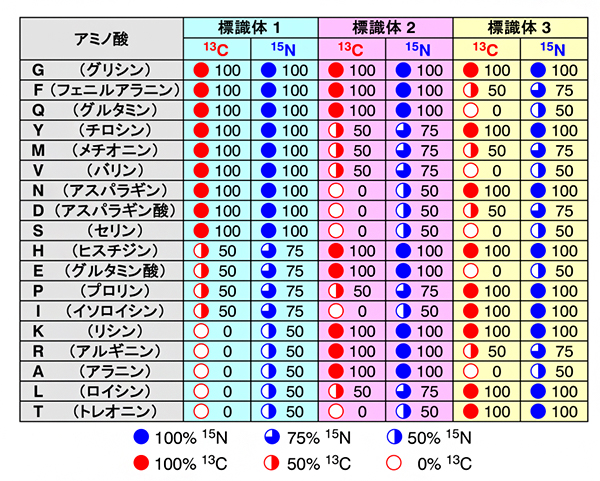 符号化標識法における安定同位体標識パターン（符号語表）の例の図