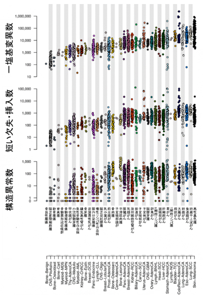 本研究で同定した全ゲノム上での各種がんの変異・異常数の図