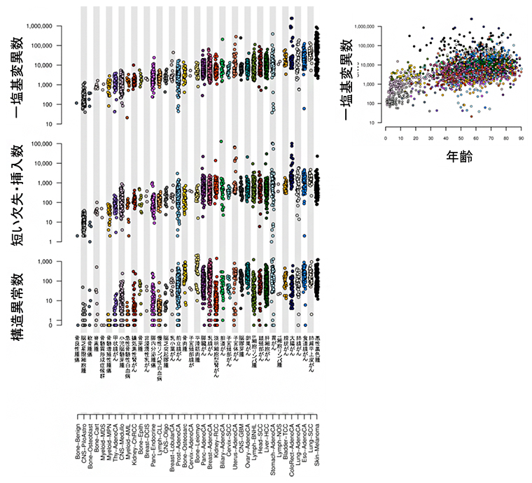 全ゲノム上での各種がんの変異・異常の図