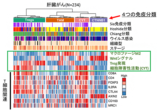 肝臓がんの四つの免疫抑制機構に基づく分類の図