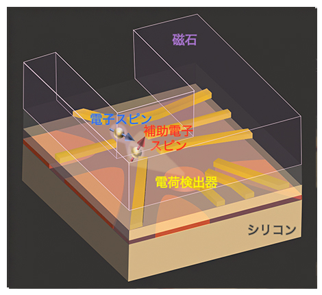 本研究で設計した試料の構造の図