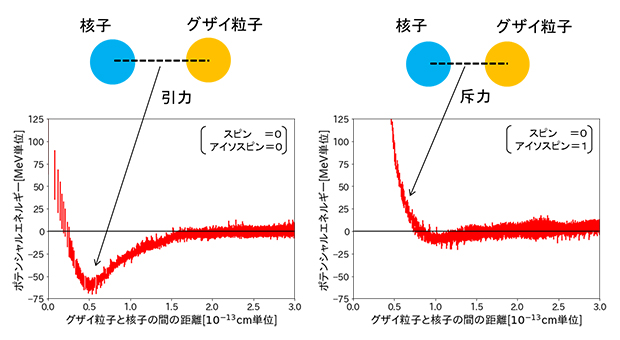 スパコン「京」による格子QCD計算で得られたグザイ粒子と核子の間に働く力の図