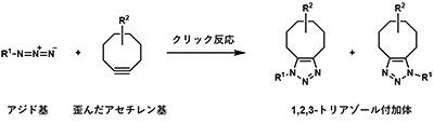 クリック反応の図