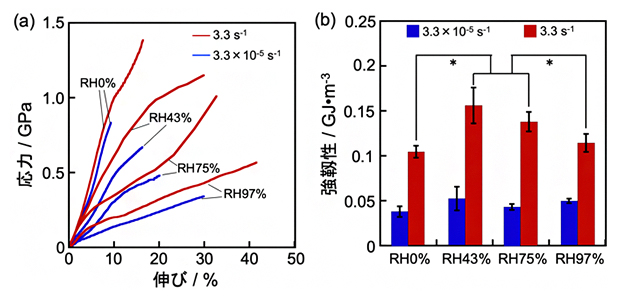 クモ糸の力学的性質の伸長速度と湿度依存性の図