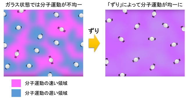 ガラス状態での不均一な分子運動と「ずり」により均一になった分子運動の模式図の画像