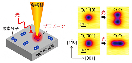 プラズモンによる酸素分子の分解反応の単一分子レベル観測の図