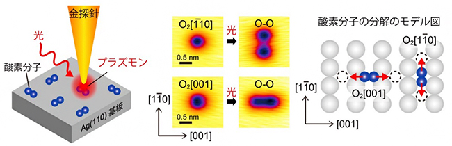 STMを用いたプラズモンによる酸素分子の分解反応の単一分子レベル観測の図