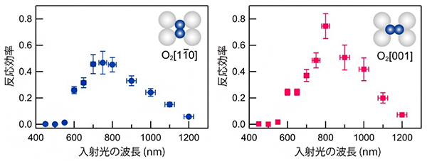 銀表面に吸着した単一酸素分子の反応効率の波長依存性の図