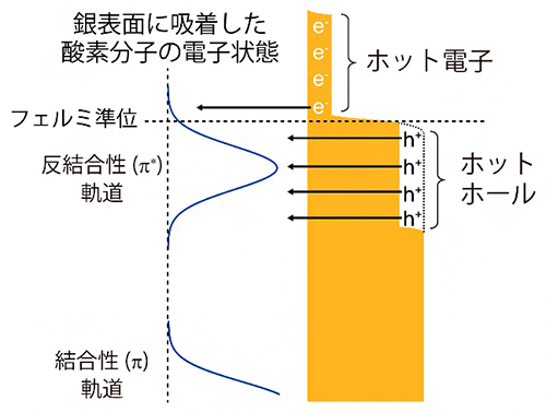 銀表面に吸着した酸素分子のプラズモンによる分解反応の機構の図