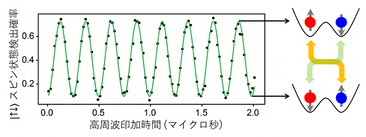 |↑↓>と|↑↓>の二つのスピン状態の間のラビ振動の測定結果の図