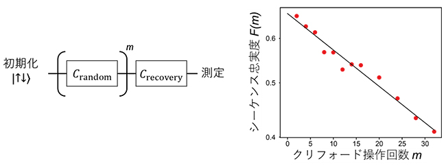 スピン交換操作のランダム化ベンチマーキングの図