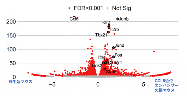 マウス肺に定住するナチュラルキラー細胞のRNA-seq結果の図