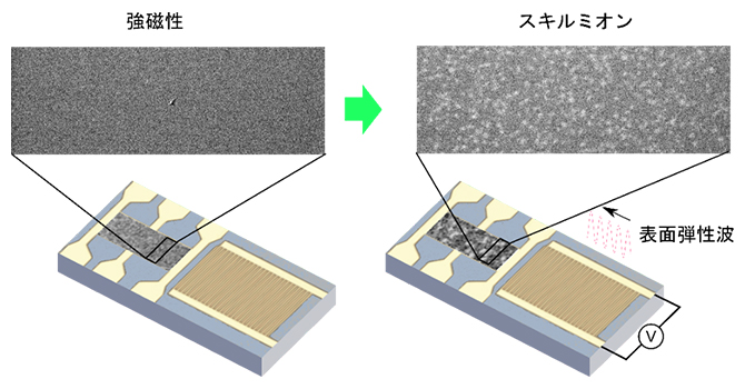 表面弾性波によるスキルミオンの生成の図