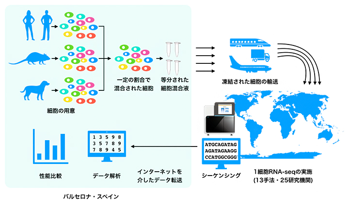 国際的なベンチマーク研究の概要の図