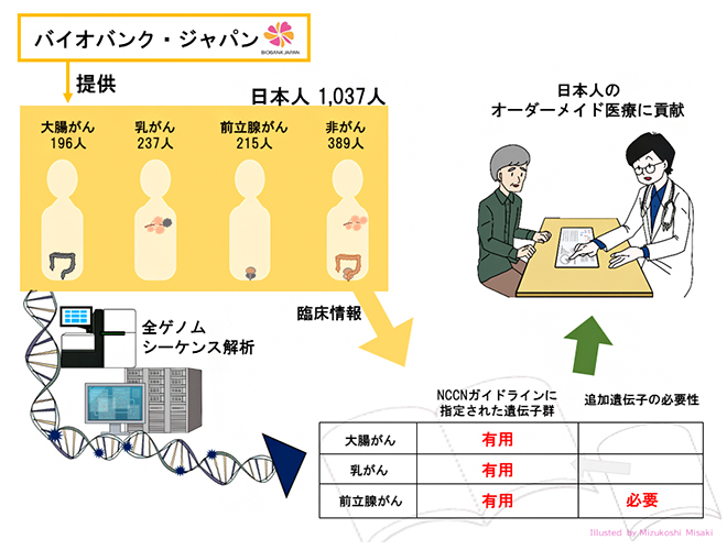 オーダーメイド医療の実現に貢献の図