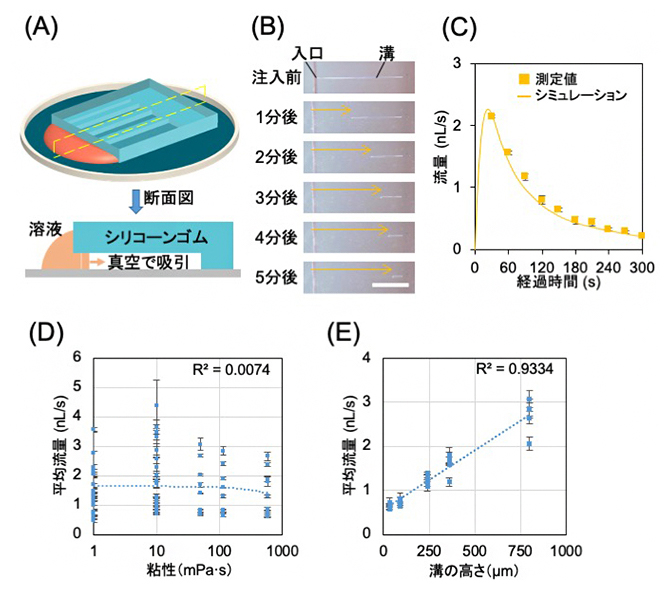 シリコーンゴム鋳型に流れ込む溶液の解析の図