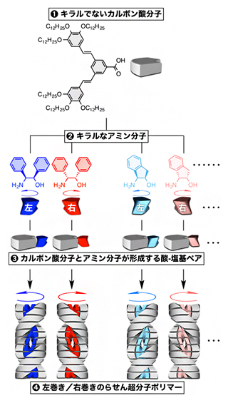 本研究で開発したらせん超分子分子ポリマーの構造の図