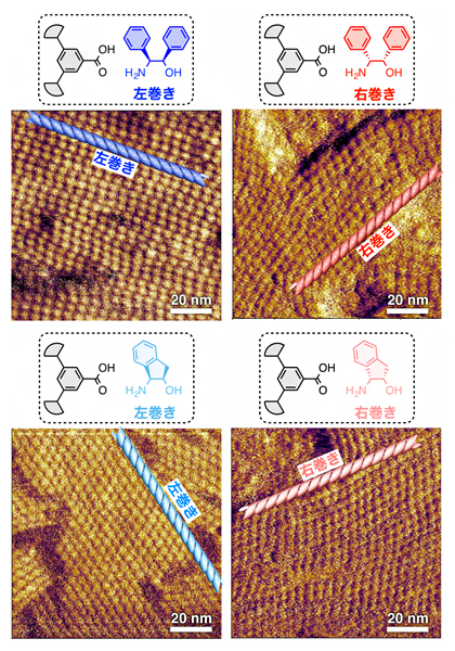 らせん超分子ポリマーの原子間力顕微鏡像の図