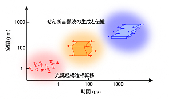 光誘起構造相転移とせん断音響波の時空間スケールの図