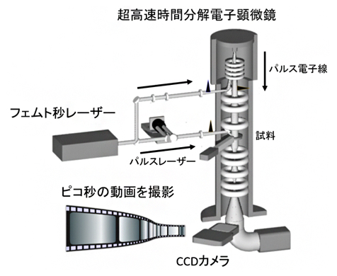 超高速時間分解電子顕微鏡の模式の図