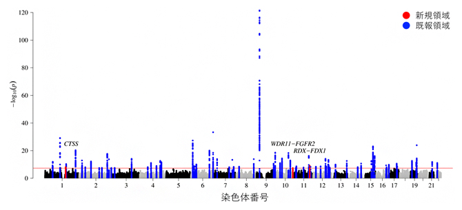 虚血性心疾患の発症に関わる疾患感受性領域の人種横断的なメタ解析の結果の図